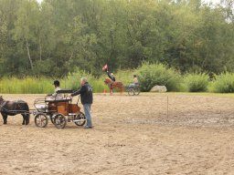 img_9502_web